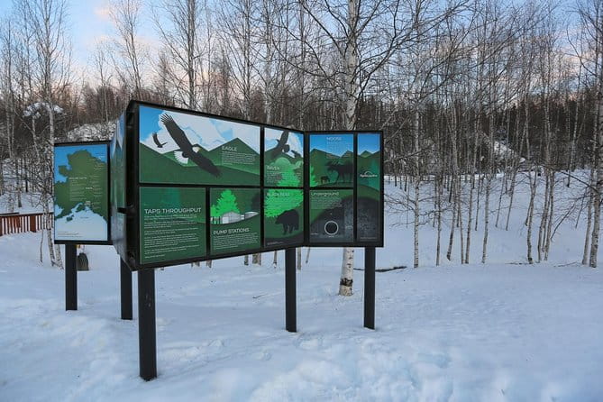 Northern Lights and Arctic Circle Trip from Fairbanks - Final Thoughts