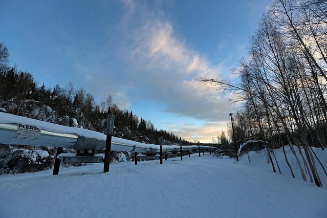 Northern Lights and Arctic Circle Trip from Fairbanks - Who Will Love This Tour?