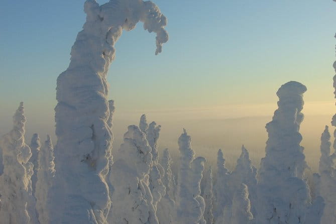 Arctic Circle Winter Drive Adventure - Who Will Enjoy This Tour Most?