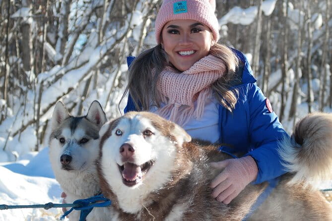 Free Pickup/Drop off: Alaskan Husky Dog Sledding with Free Photo - FAQ about the Fairbanks Husky Dog Sledding Tour