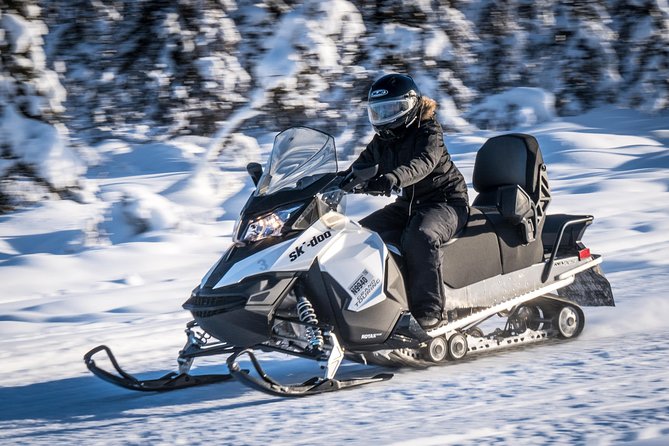 Guided Fairbanks Snowmobile Tour - The Sum Up