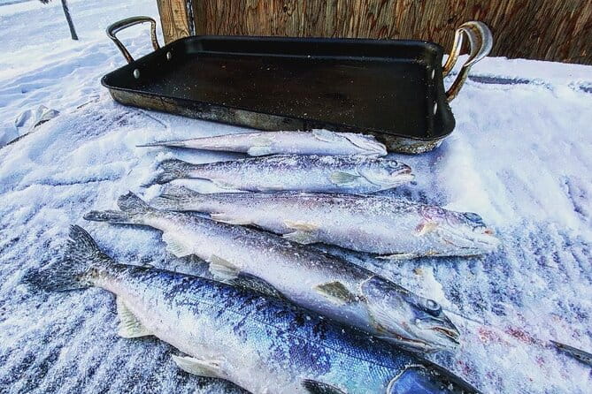 Quick and Easy Ice Fishing at Chena Lake - FAQs