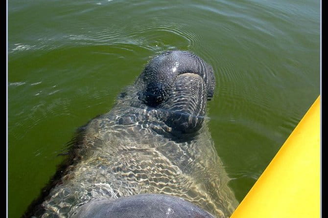 Small Group Boat, Kayak and Walking Guided Eco Tour in Everglades National Park - Who Will Love This Tour?