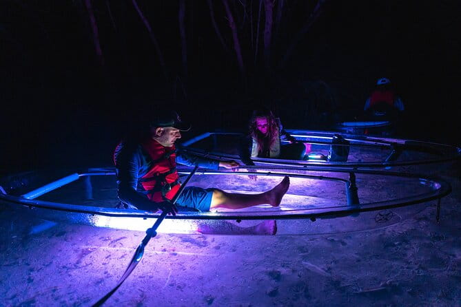 Shell Key Clear Kayak Sunset & Glow Tours - Key Points
