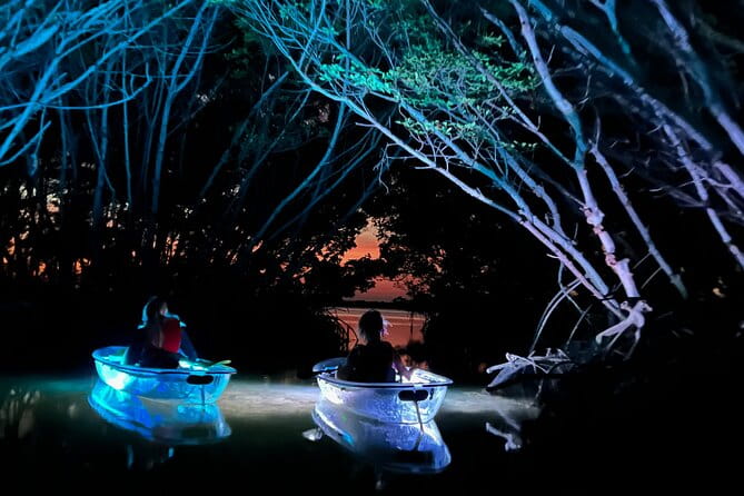 Shell Key Clear Kayak Sunset & Glow Tours - The Practical Side: Pricing, Booking, and Tips