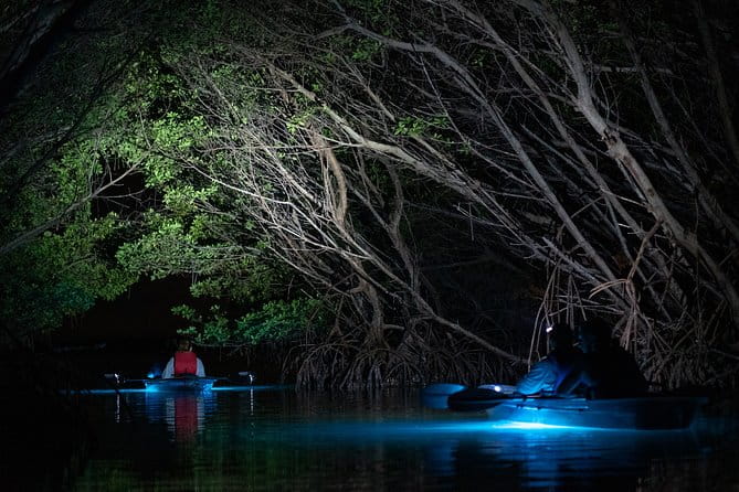 Shell Key Clear Kayak Sunset & Glow Tours - The Sum Up: Who Will Love This Tour?