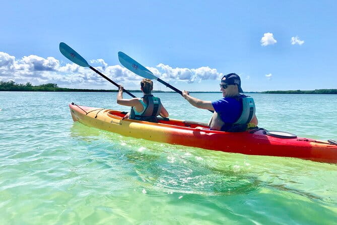 Small Group Kayak Tour of the Shell Key Preserve - Discovering Shell Key Preserve: A Natural Treasure
