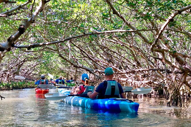 Small Group Kayak Tour of the Shell Key Preserve - The Value of the Experience