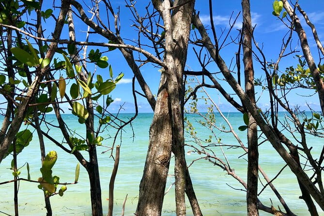 Small Group Kayak Tour of the Shell Key Preserve - FAQ