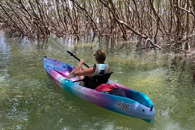 Small Group Kayak Tour of the Shell Key Preserve - Who Will Love This Tour?