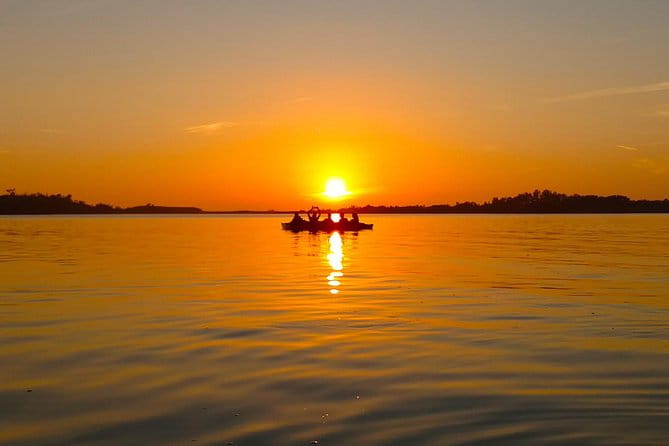Kayak Adventure of Shell Key Preserve & Island with a Local - Key Points