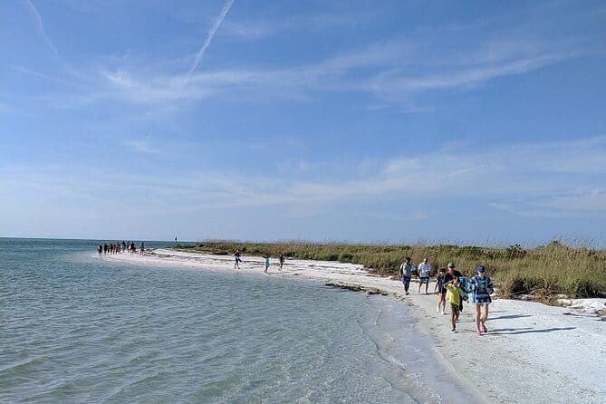 Shell Key Ferry from Ft. DeSoto Boat Ramp in Tierra Verde, FL - Who Should Consider This Tour?