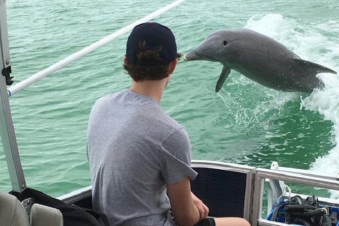 Small Group 2 Hour Dolphin Cruise with Snorkeling to Shell Key - Key Points