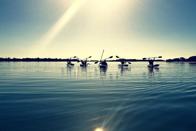 Small-Group Clear Kayak Tour in Shell Key - Final Thoughts: Is It Worth It?