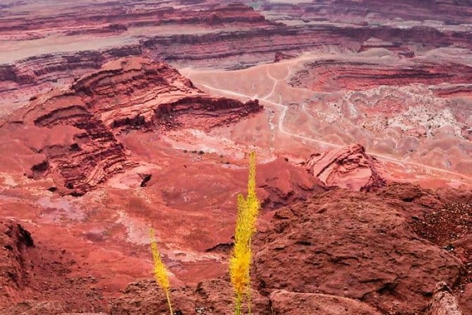 Canyonlands National Park Backcountry 4x4 Adventure from Moab - Who Should Book This Tour?