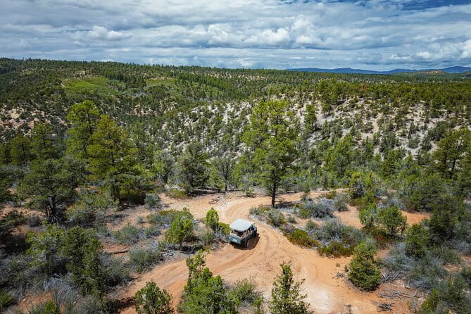 East Zion East Rim Jeep Tour - Practical Details and Tips