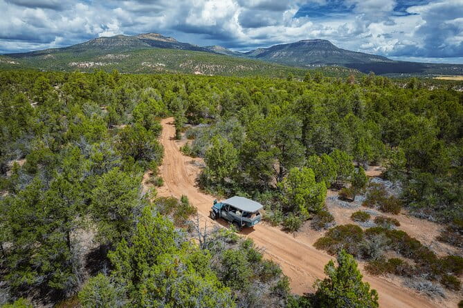 East Zion East Rim Jeep Tour - Authentic Travel Experience from Real Travelers