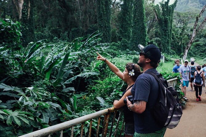 Manoa Waterfall Hike From Waikiki With Healthy Lunch Included - Final thoughts