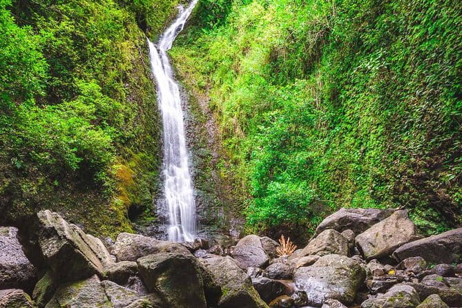 Hike Trail to Waterfall & Nature Walk - Final Thoughts: Is It Worth It?