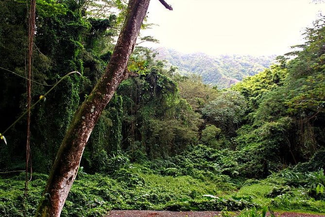 Hike Trail to Waterfall & Nature Walk - FAQ