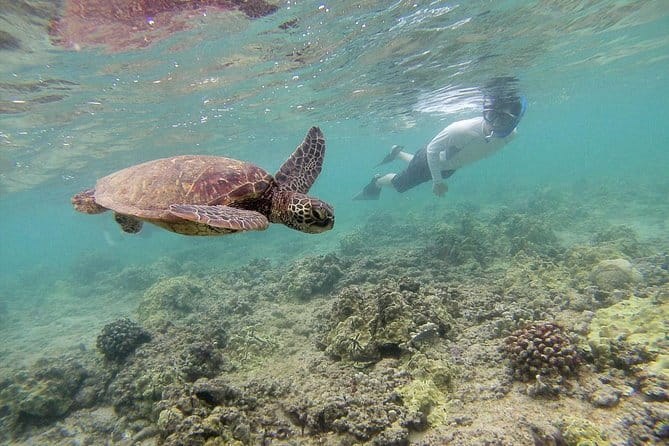 Custom Island Tour - for 6 to 14 people - up to 8 hours - Private tour of Oahu - Final Thoughts: Is This Tour Right for You?