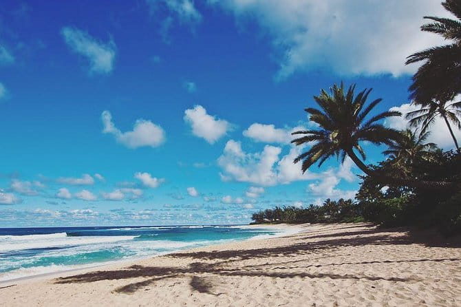 Oahu Circle Island: Snorkel with Turtles & Explore in Small Group - A Closer Look at the Itinerary