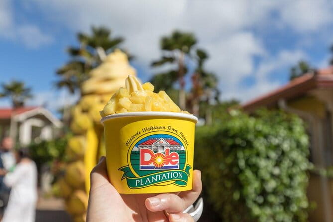 Pearl Harbor, Dole Plantation, and Polynesian Center from Waikiki - Key Points
