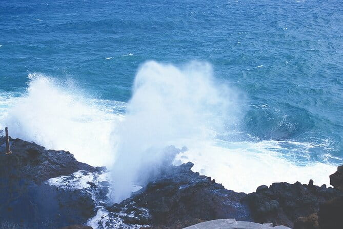 Oahu Deluxe Grand Circle Island Tour - The Sum Up: Is It Worth It?