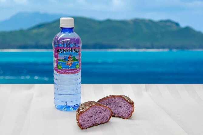 Grand Circle Island and Haleiwa 9 Hour Tour - FAQ