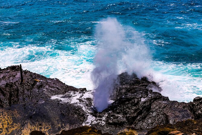 Grand Circle Island and Haleiwa 9 Hour Tour - Who Will Love This Tour?