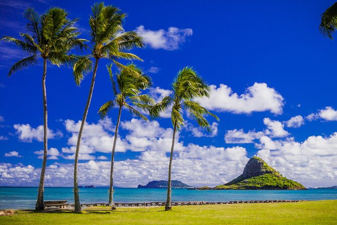 Grand Circle Island and Haleiwa 9 Hour Tour - How Does the Price Match the Experience?
