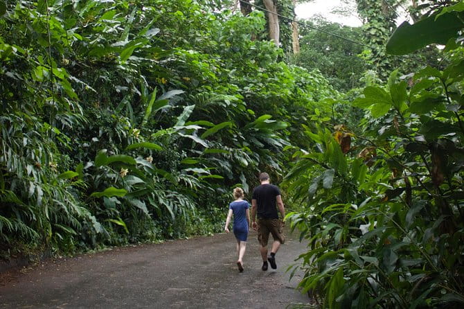 Rainforest Waterfall Trail and Shuttle Service - FAQ
