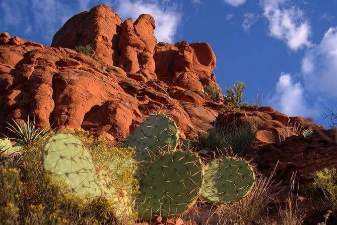 Small Group or Private Sedona and Native American Ruins Day Tour - FAQ