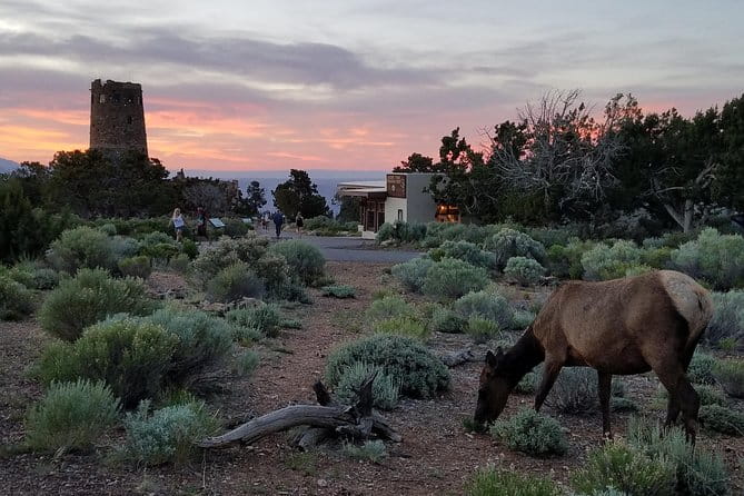Custom Grand Canyon Day Trip - Logistics and What to Expect