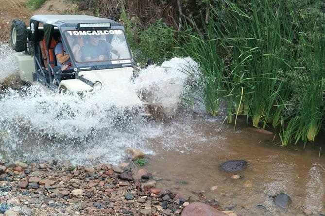 3 Hour Guided TomCar ATV Experience in Sonoran Desert - Who Will Love This Tour?