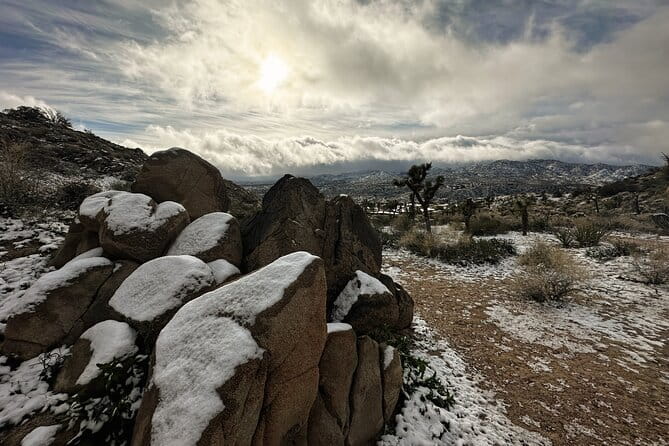 Joshua Tree National Park Self-Guided Driving Audio Tour - Practical Details & What to Expect