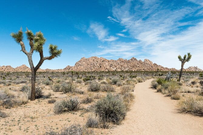 Joshua Tree National Park Self-Guided Driving Audio Tour - The Sum Up: Who Will Love This Tour?