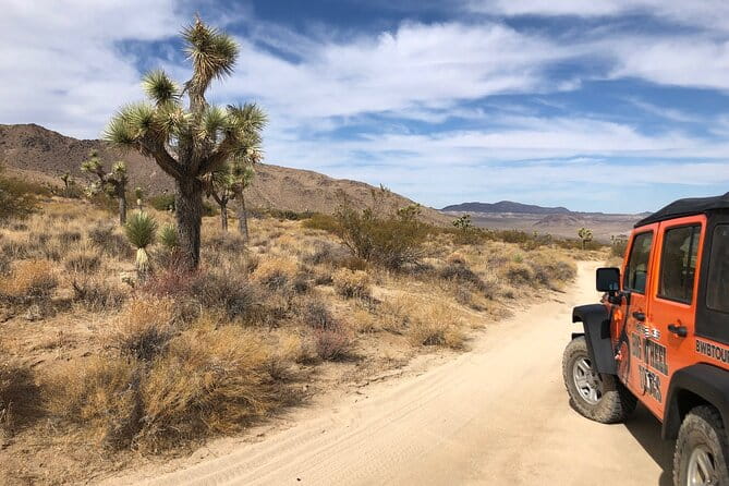 Joshua Tree National Park Offroad Tour - Final Thoughts: Is It Worth It?