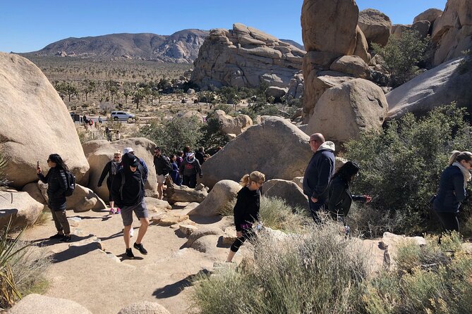 Joshua Tree National Park Driving Tour - Frequently Asked Questions