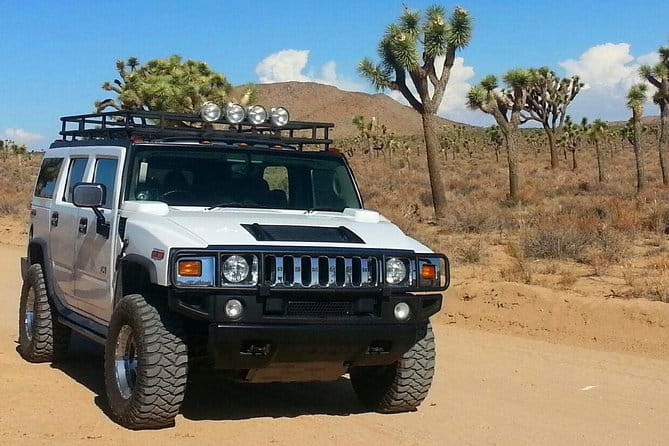 Joshua Tree National Park Scenic Tour - Who Would Love This Tour?