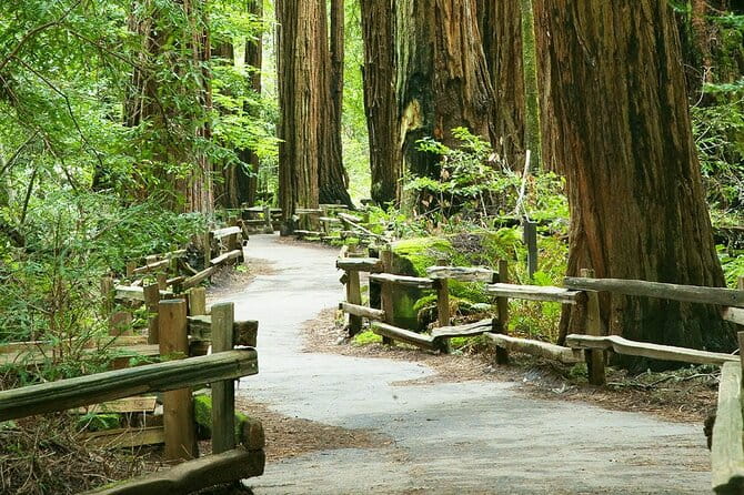 Alcatraz Muir Woods Express with Golden Gate Bridge Visit - Who Will Love This Tour?