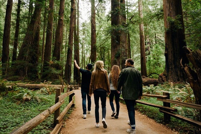 San Francisco, Muir Woods, Sausalito and optional Alcatraz tour - Who Will Love This Tour?