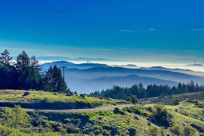 Muir Woods and Sausalito Half Day Tour - Frequently Asked Questions