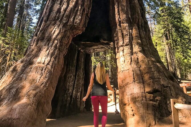 Yosemite 3-Day Camping Adventure from San Francisco - What We Love About This Tour