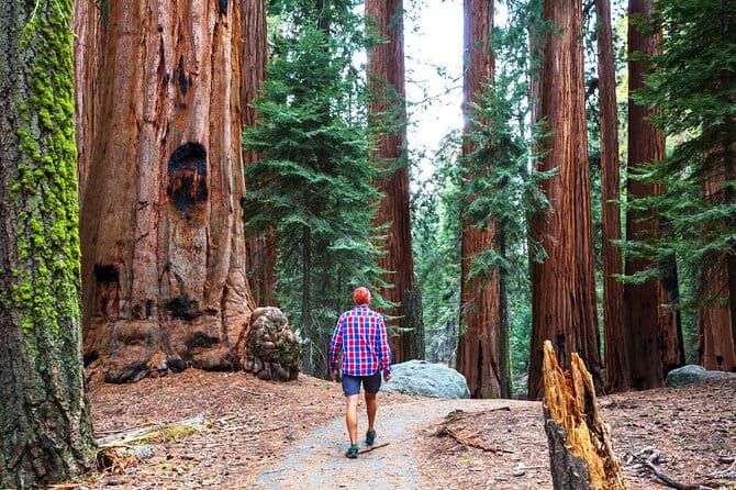 Yosemite National Park 2-Day Tour from San Francisco with Lodging - Final Thoughts