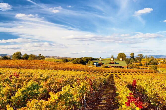 Muir Woods & Wine Tour: Redwoods & Tastings at 3 Wineries - Who Will Love This Tour?