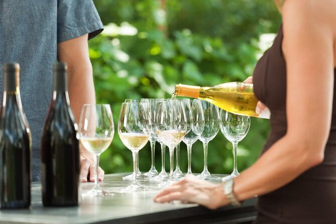 Small-Group Giant Redwoods and Russian River Wine Country Trip - The Itinerary: What You Can Expect