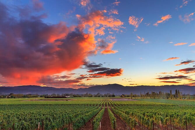 Small-Group Giant Redwoods and Russian River Wine Country Trip - Who Should Consider This Tour?