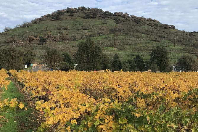 8hr Private Sonoma and Napa Wine Tour from San Francisco.XL SUV - Who Will Love This Tour?
