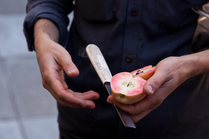 Mission District Food Tour: Appetizers, Entrée and Dessert - Who Should Consider This Tour?